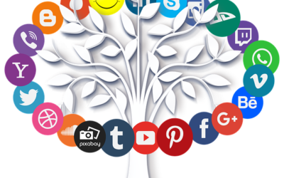 Facebook Live and Zoom inBloom