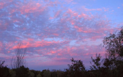 Sky Blue Pink